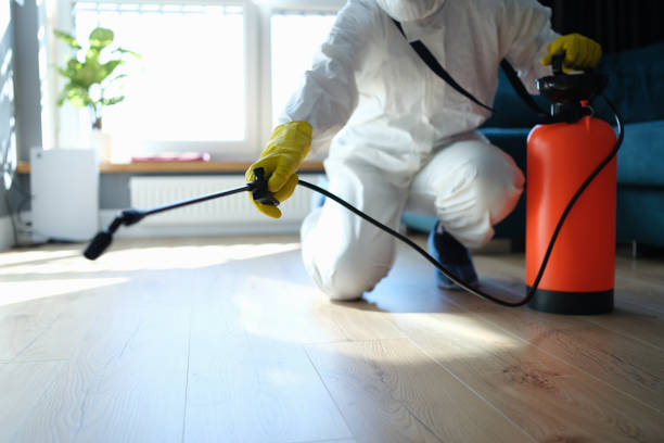 Reliable Odor Removal contractor in Hallettsville, TX by Trauma Clean Pros